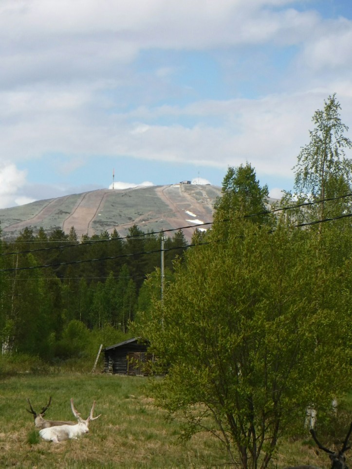 wp-1435432875043 image