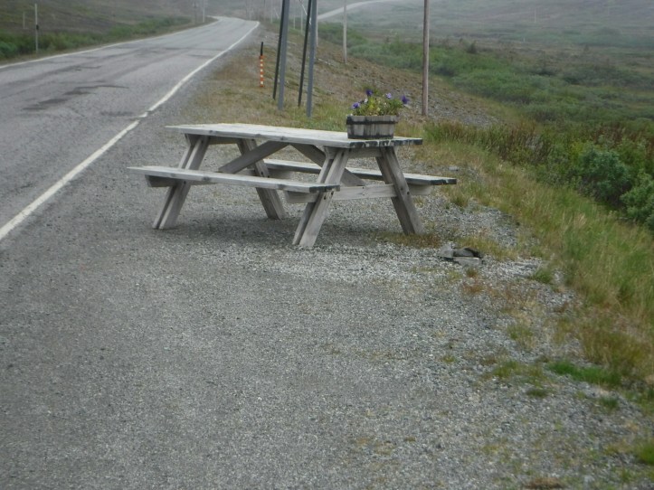 wp-1435815107420 image