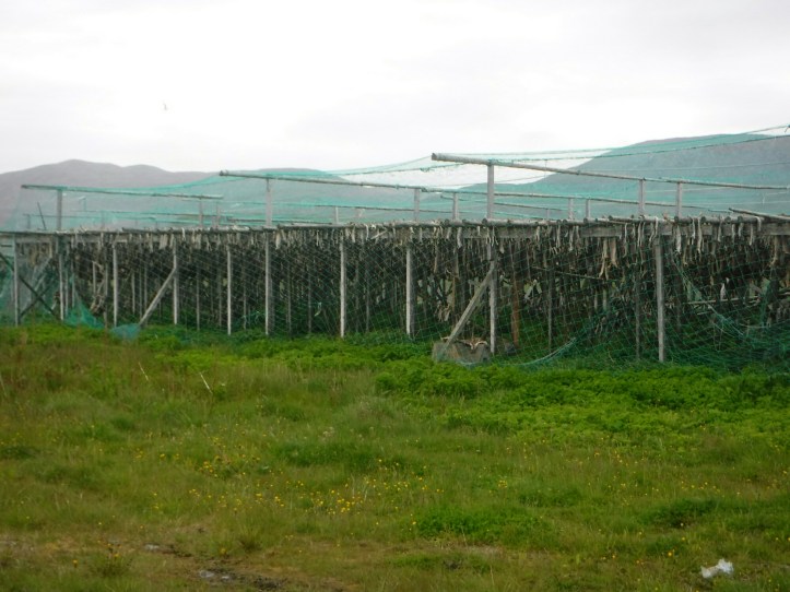 wp-1435815157041 image