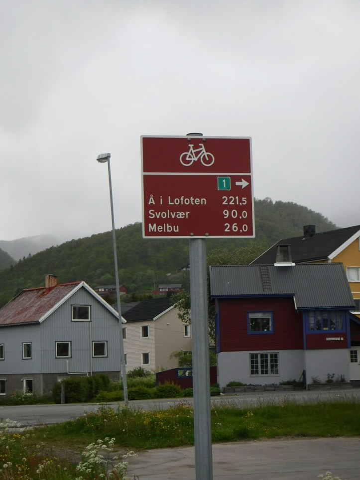 wp-1436825166130 image