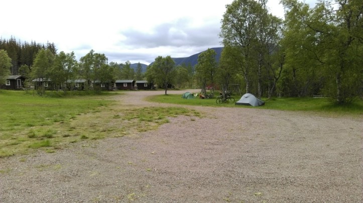 wp-1436825410309 image