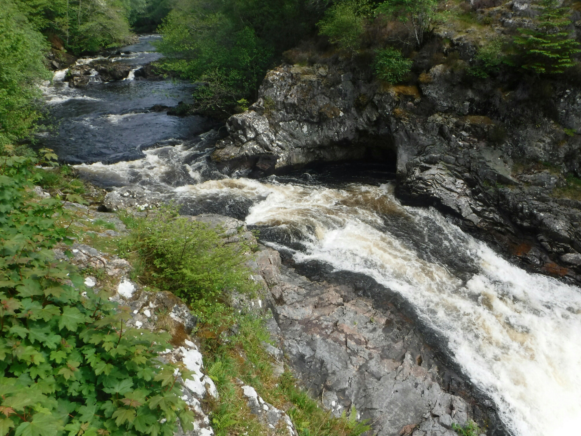 wp-1465592312925 image