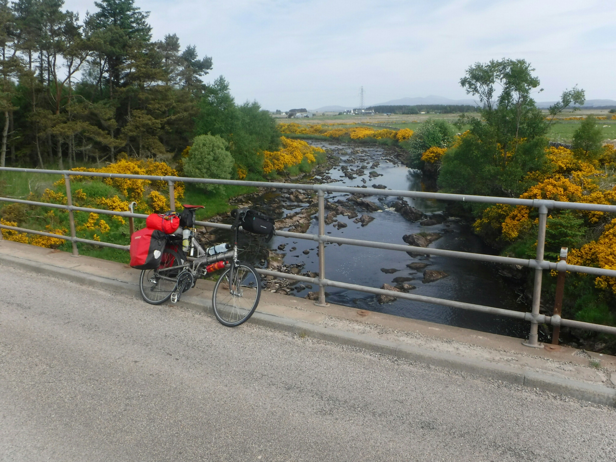 wp-1465592359407 image