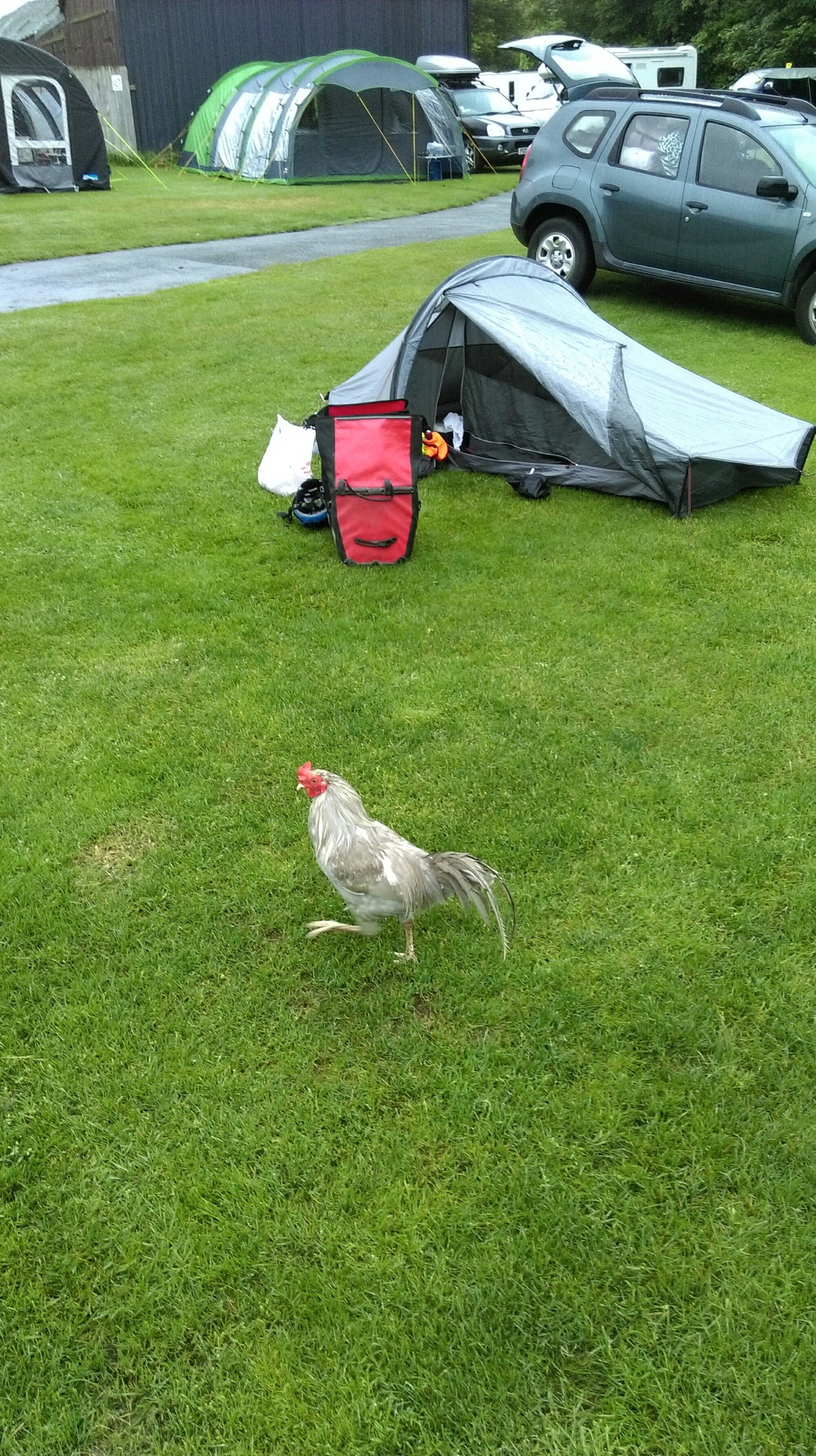 wp-1465876856286 image