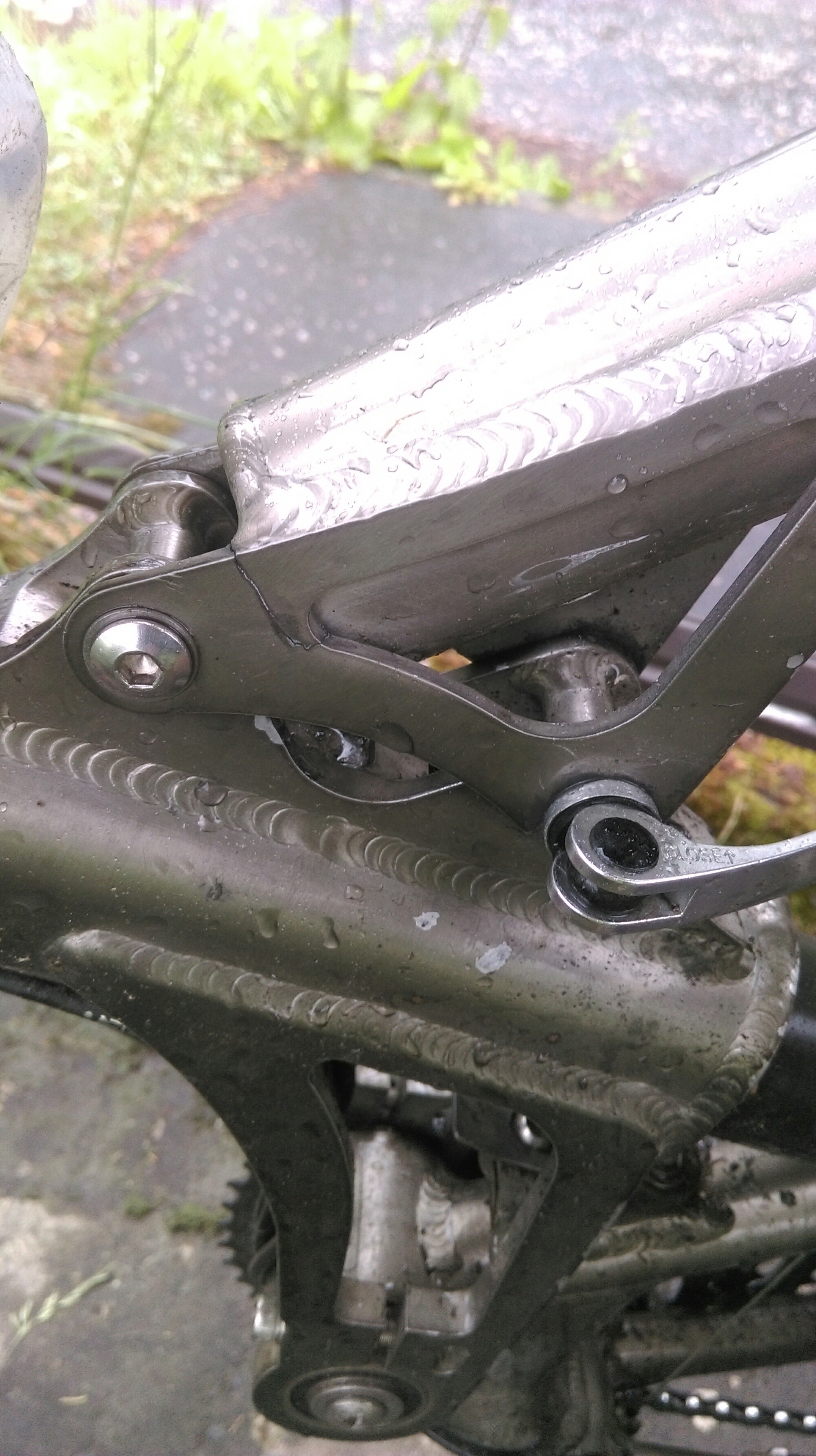 wp-1465876937482 image