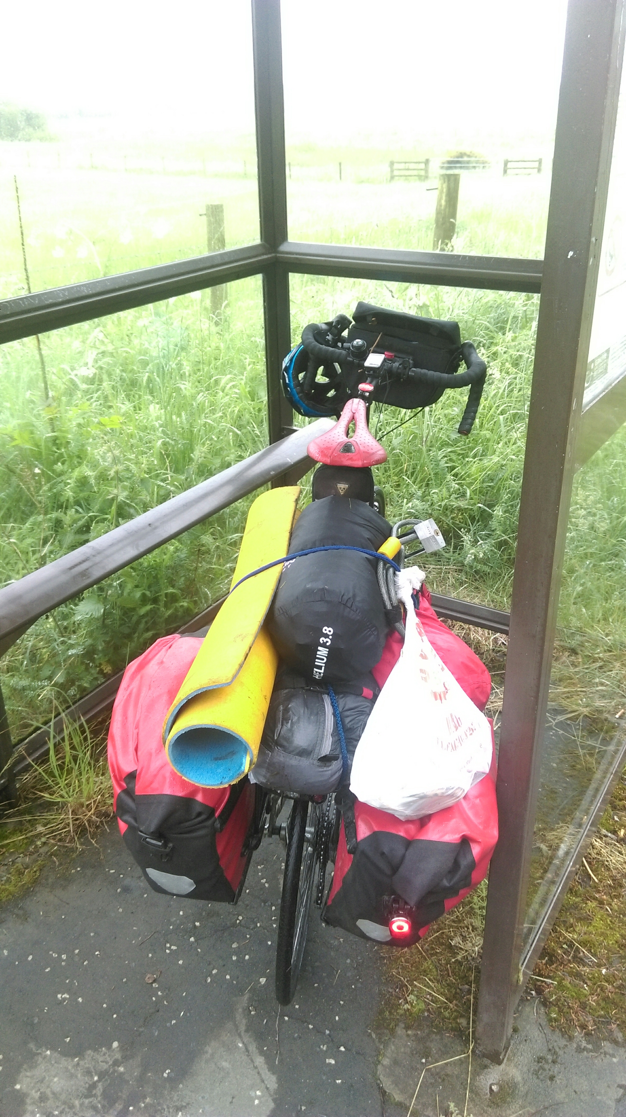 wp-1465876984645 image