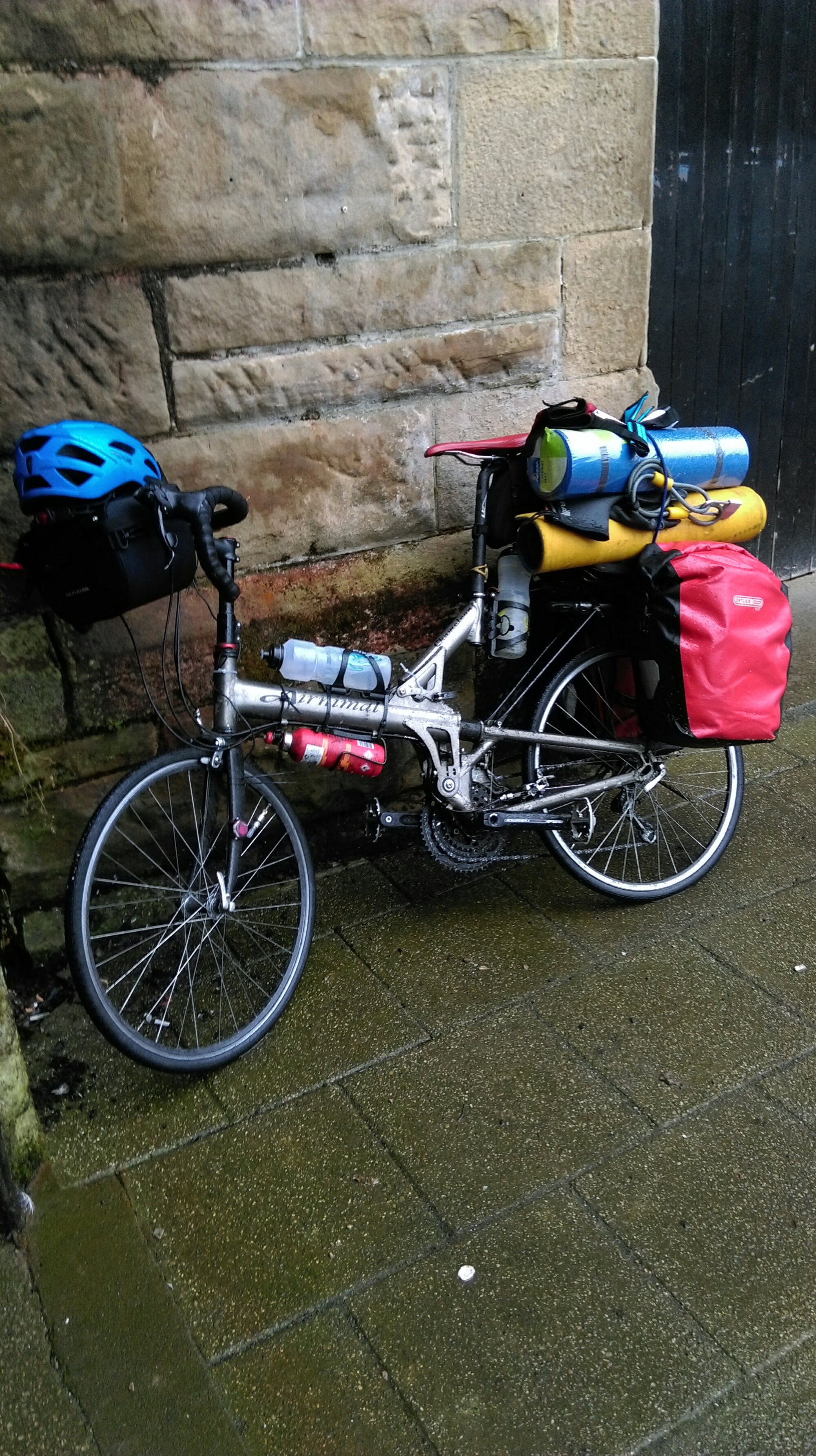 wp-1465877094188 image