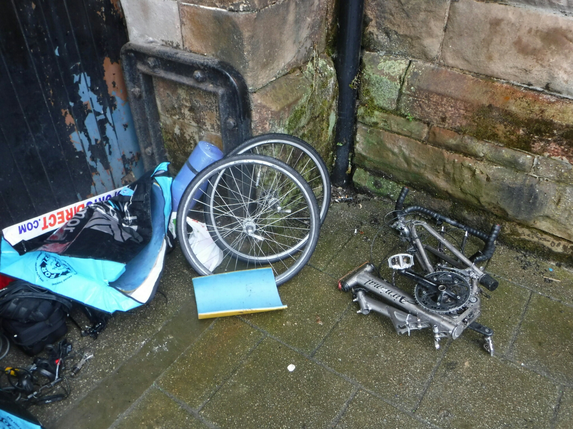 wp-1465877141344 image