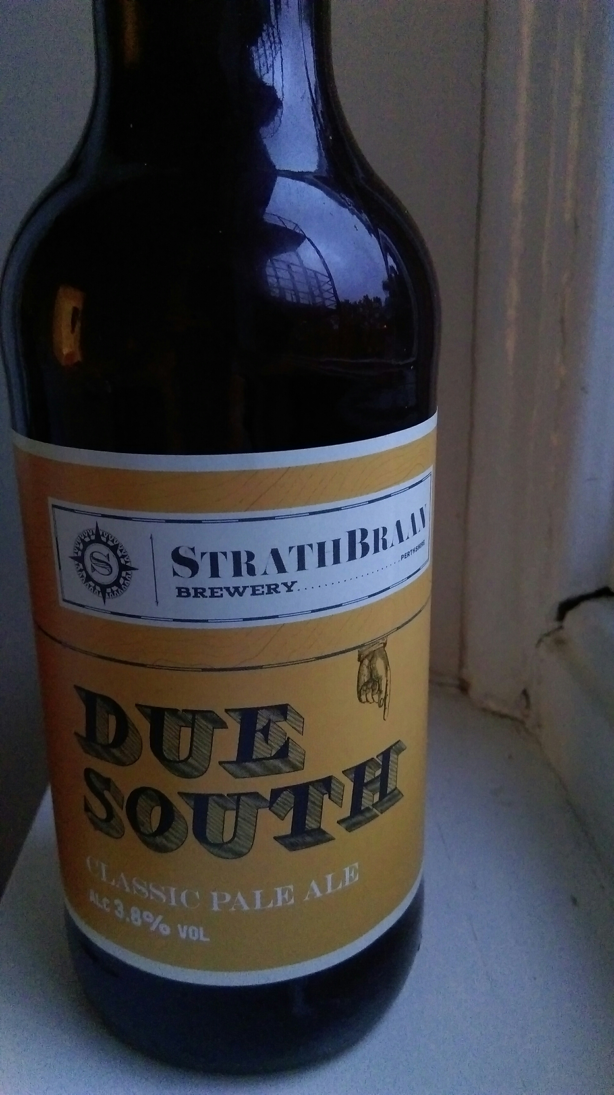 wp-1465877248919 image