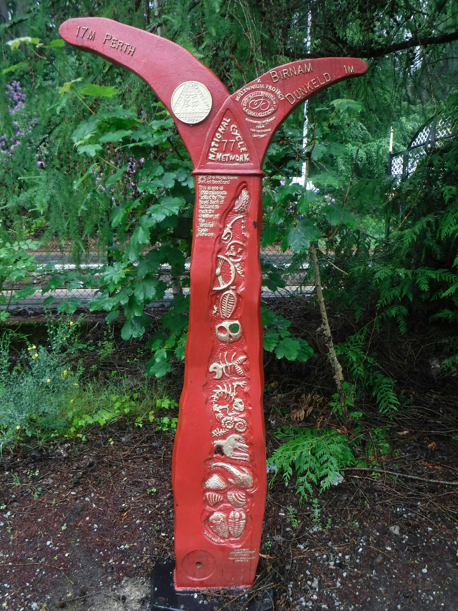 wp-1465878588905 image