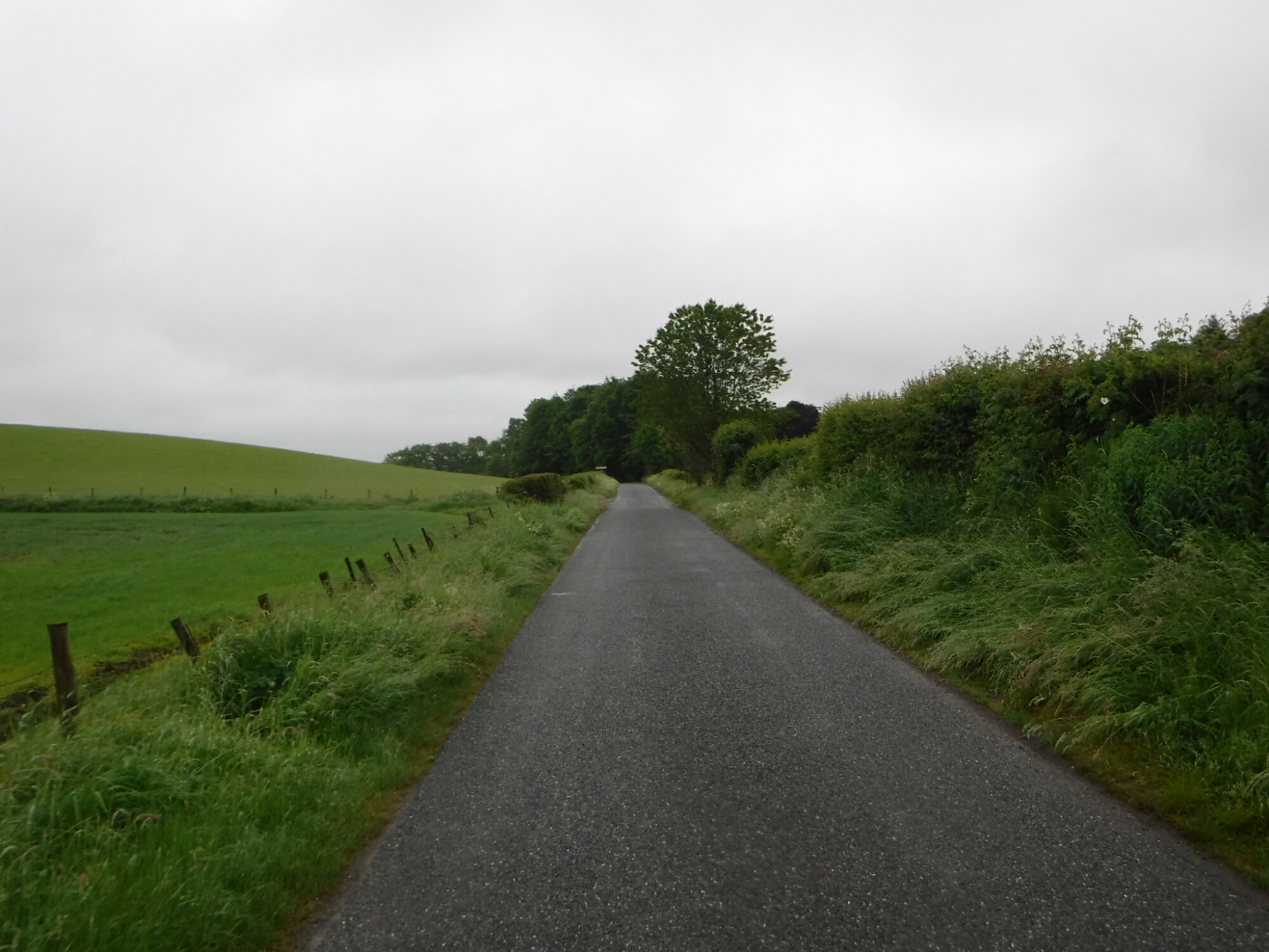 wp-1465878610763 image