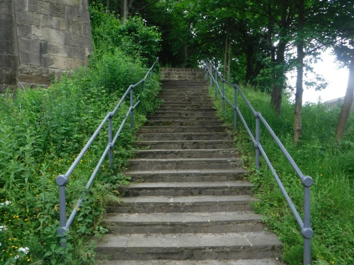 wp-1466232122996 image