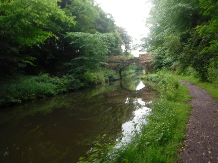 wp-1466232209934 image