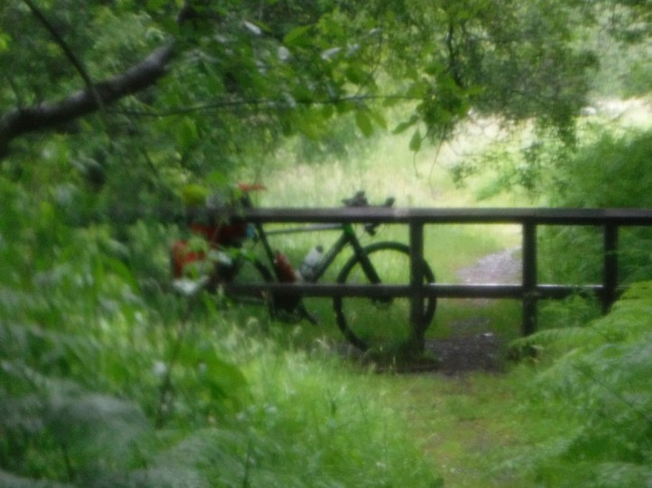 wp-1466232876345 image